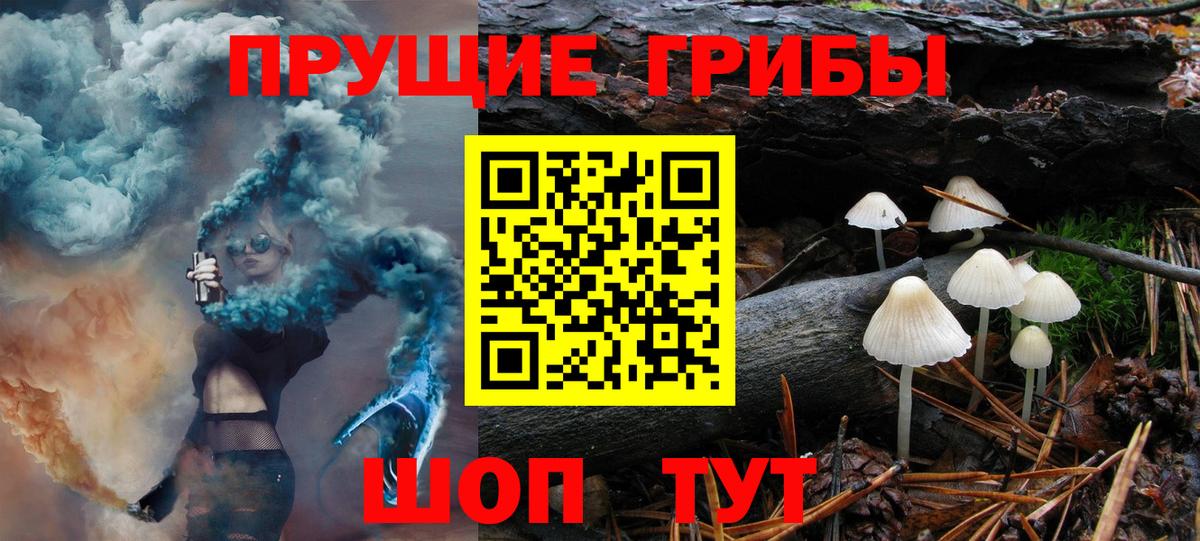 Галлюциногенные грибы Psilocybe  Вход с VPN  Таганрог 