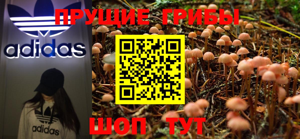Галлюциногенные грибы Cubensis Таганрог